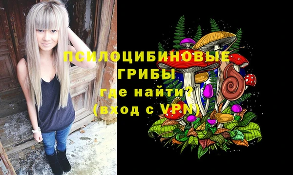 дмт Волоколамск