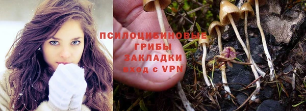 mdpv Володарск