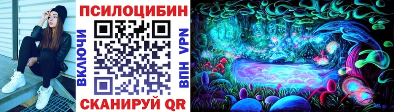 купить закладку  Ишимбай  Псилоцибиновые грибы Cubensis 